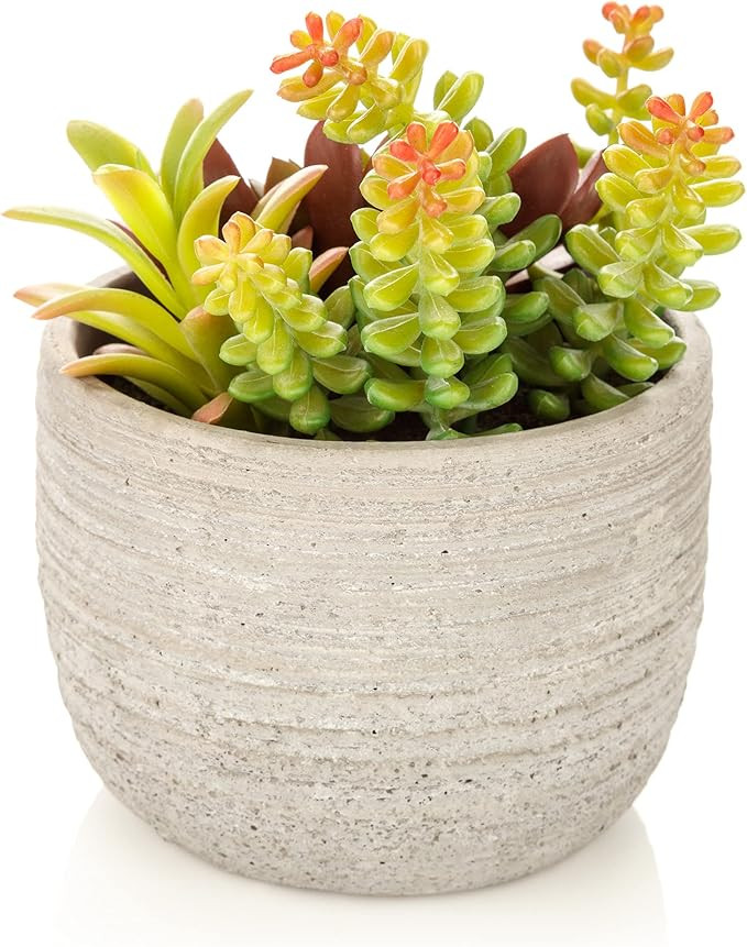Gallery Solutions 6" Mixed Artificial Succulent Arrangement in Gray Cement Planter Pot | Amazon (US)