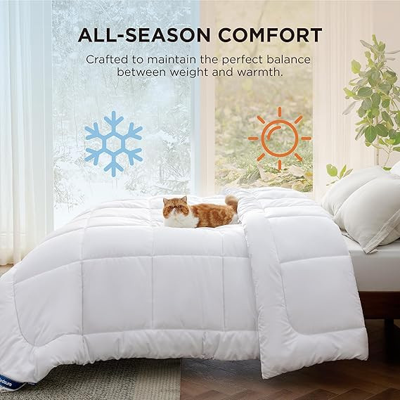 Bedsure Comforter Duvet Insert - Quilted Comforters Queen Size, All Season Duvet, Down Alternativ... | Amazon (US)