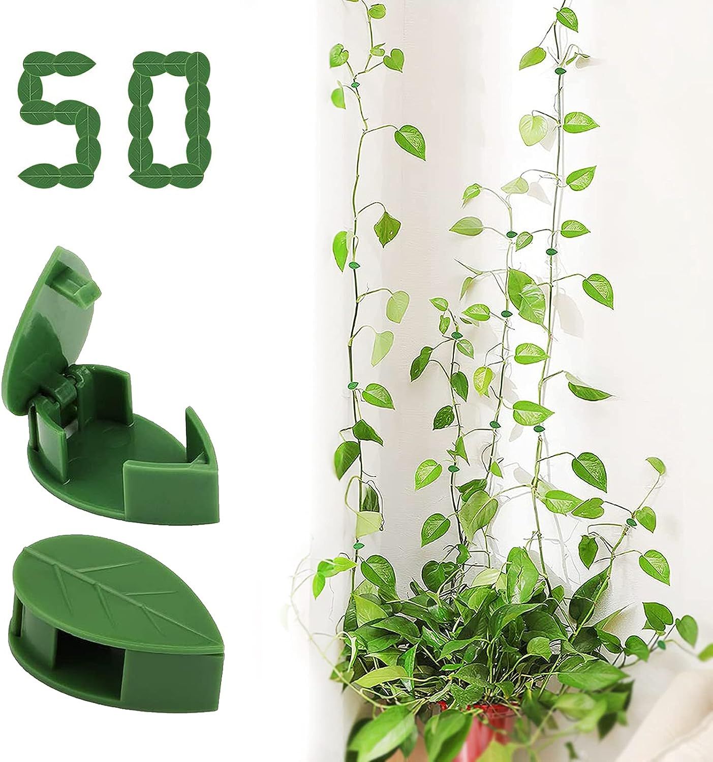 oUUoNNo 50Pcs Plant Climbing Wall Fixture Clips,Invisible Wall Vines Wall Fixture Hook Support Tr... | Amazon (US)