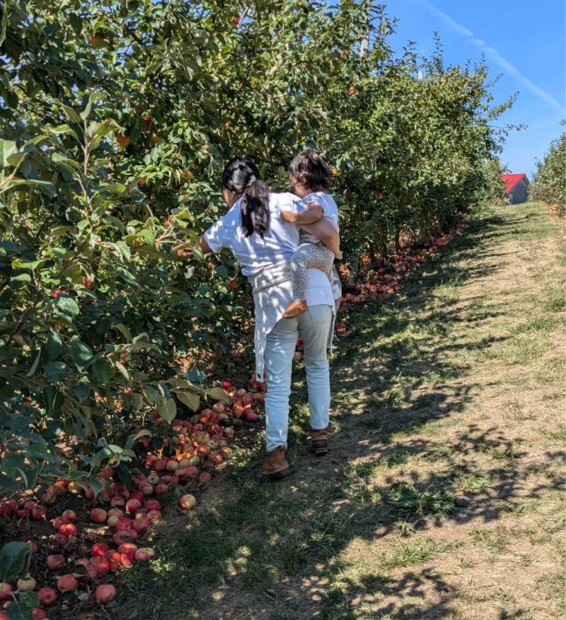 jeans are on sale! casual apple picking outfit | fall

#LTKFallSale