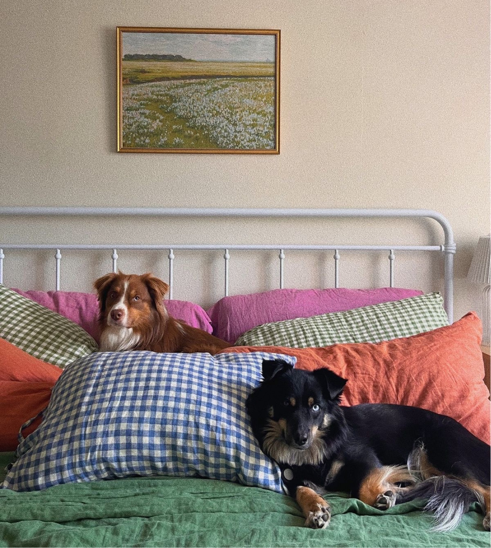 Piglet in Bed is having their biggest sale of the year! 

#LTKhome #LTKsalealert #LTKSeasonal