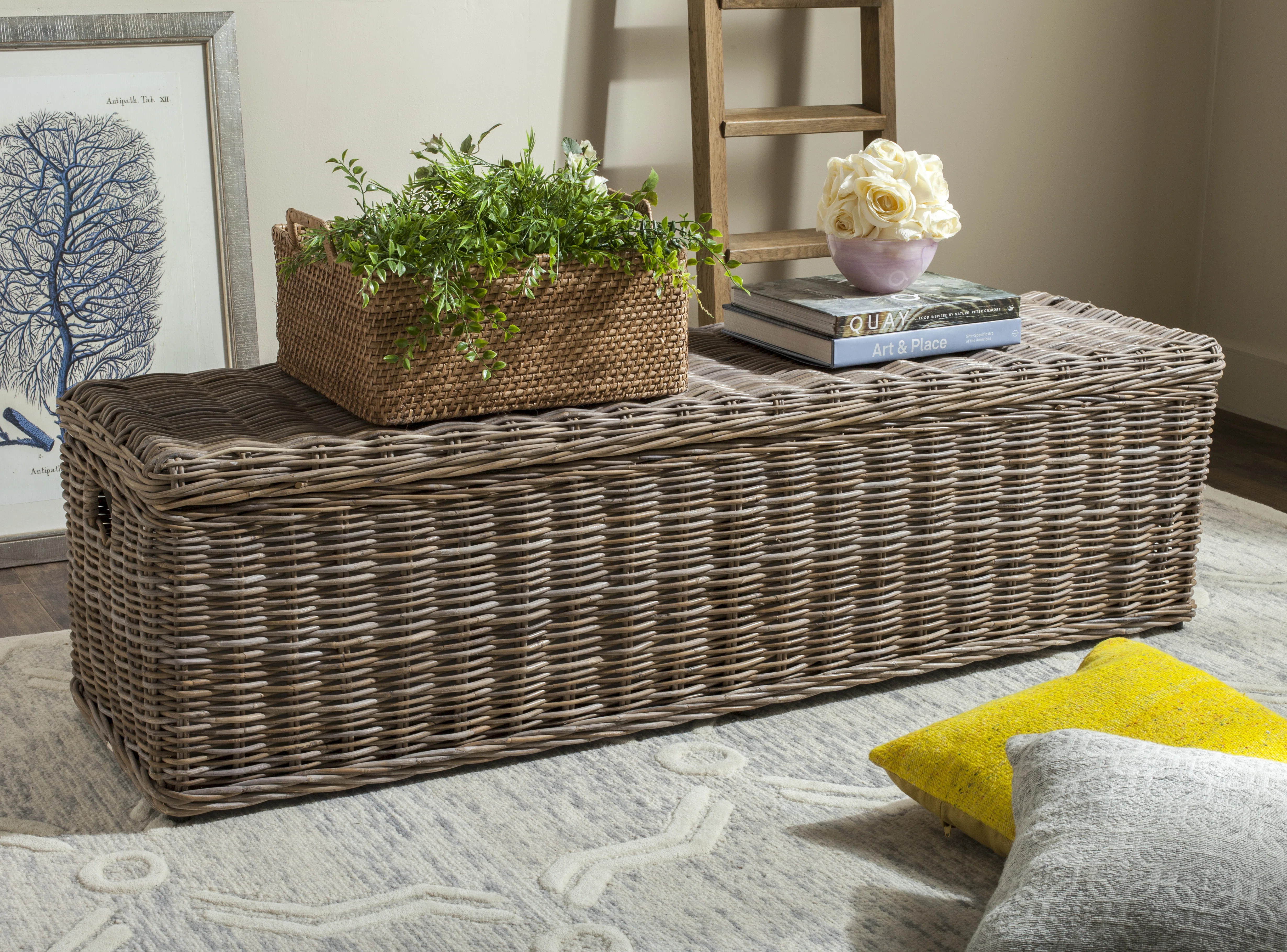 Vin Wicker Trunk | Wayfair North America