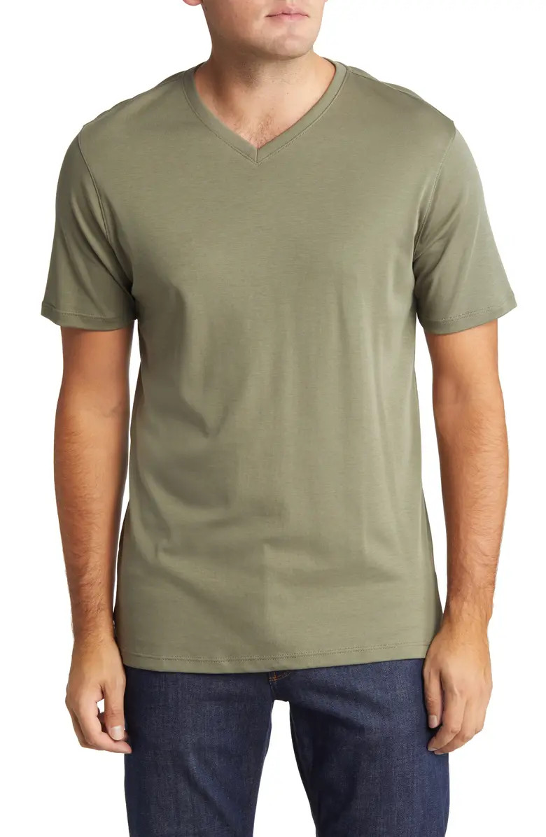 Georgia Regular Fit V-Neck T-Shirt | Nordstrom