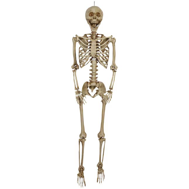 Haunted Living  5-ft Lighted Skeleton with Red Eyes | Lowe's