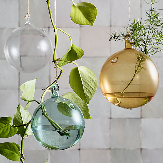Hanging Glass Bud Vase | Terrain
