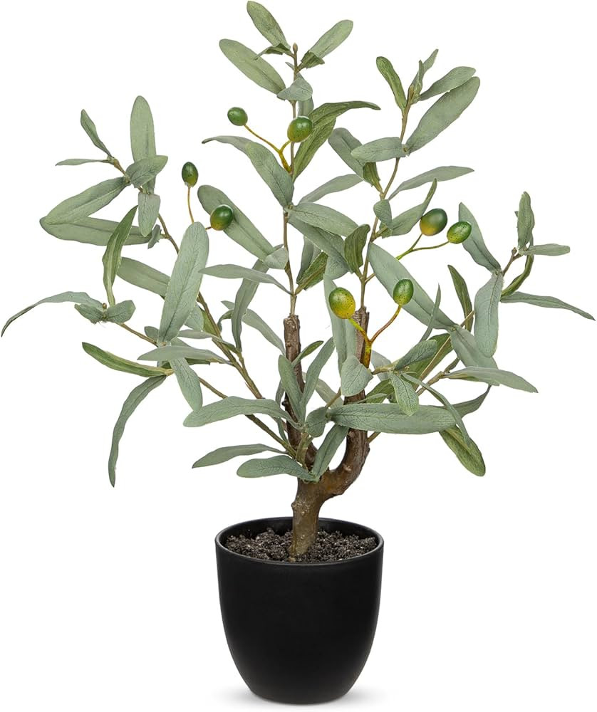 Briful Small Faux Olive Tree 18.9" Artificial Olive Plant with Black Pot Decorative Fake Olive Tr... | Amazon (US)