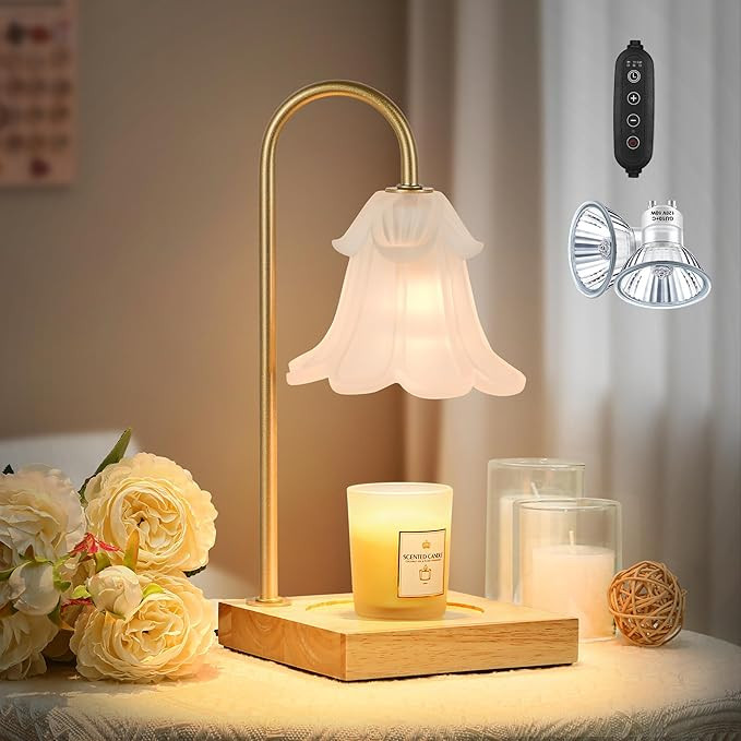 Candle Warmer Lamp, Gift for Mom, Girlfriend and Wife, Perfect House Warming Gifts, Electric Dimm... | Amazon (US)