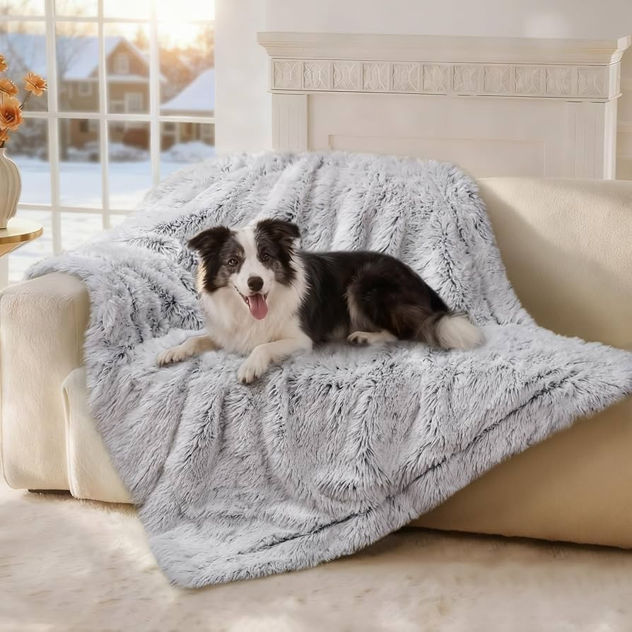 Luciphia Large Waterproof Dog Blanket for Pet Washable Liquid Proof Bed Intimacy Protection Shagg... | Amazon (US)