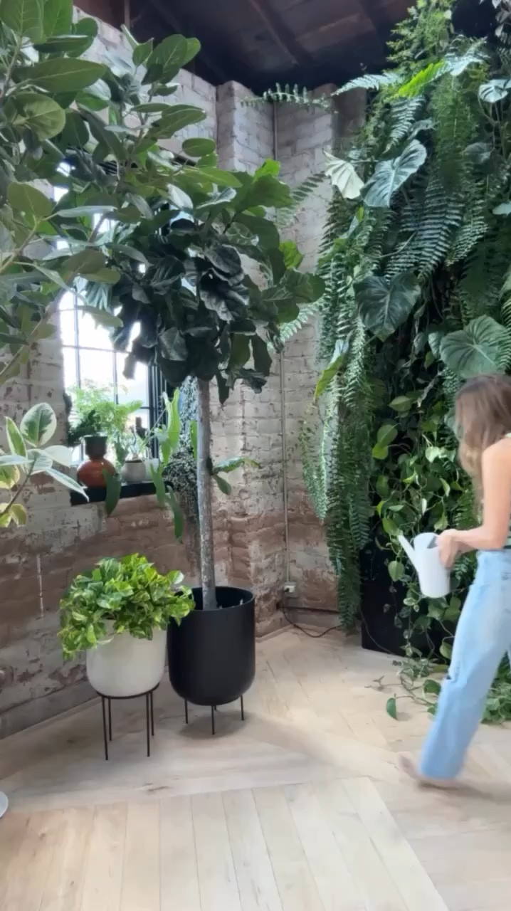 Friendly reminder to water your plants! Just check the soil to make sure it’s dry, fill your watering can, and FULLY saturate the soil. No partial watering here!  💧🌿

Linked are some of my favorite watering cans.

#LTKSeasonal #LTKfindsunder50 #LTKhome