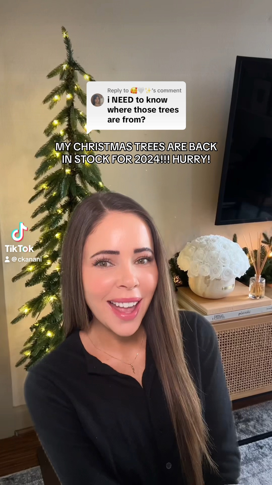 Christmas decor
Christmas tree
Christmas tree ideas 2024
Christmas tree inspo
Target finds
Target Christmas
Target must haves
Apartment decor



#LTKSeasonal #LTKHome #LTKHoliday