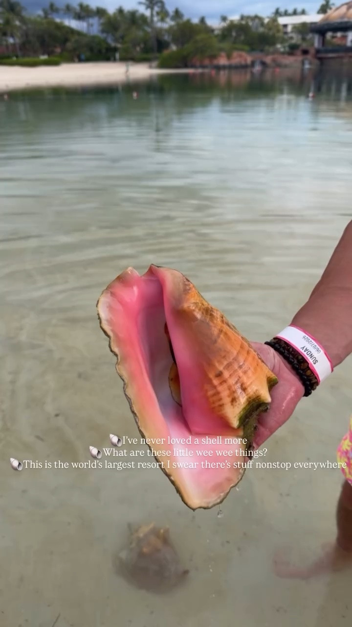 🐚I’ve never loved a shell more
🐚What are these little wee wee things?
🐚This is the world’s largest resort I swear there’s stuff nonstop everywhere