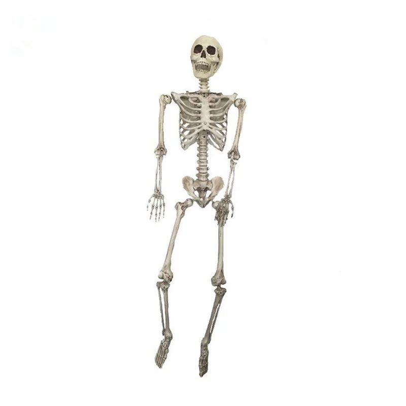 The Twillery Co. Halloween Poseable Human Skeleton Props Party Decor & Reviews | Wayfair | Wayfair North America