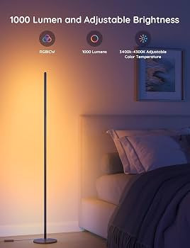 Govee RGBIC Floor Lamp, LED Corner Lamp Works with Alexa, 1000 Lumen Smart Modern Floor Lamp with... | Amazon (US)