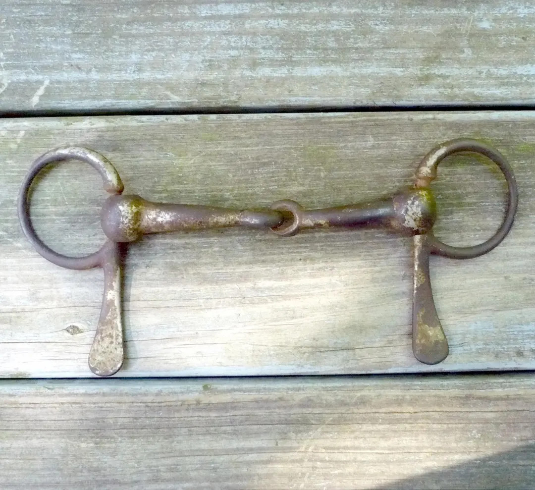 Vintage Half Cheek Horse Bit - Etsy | Etsy (US)