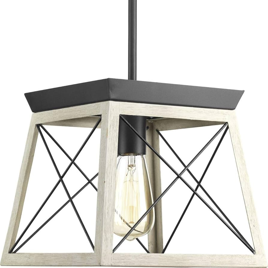 Progress Lighting Briarwood Collection 1-Light Coastal Mini-Pendant Light Graphite, Black | Amazon (US)