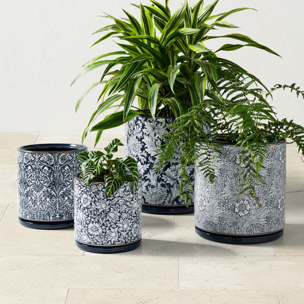 Morris &amp; Co. x Williams Sonoma Ceramic Planter Collection | Williams-Sonoma