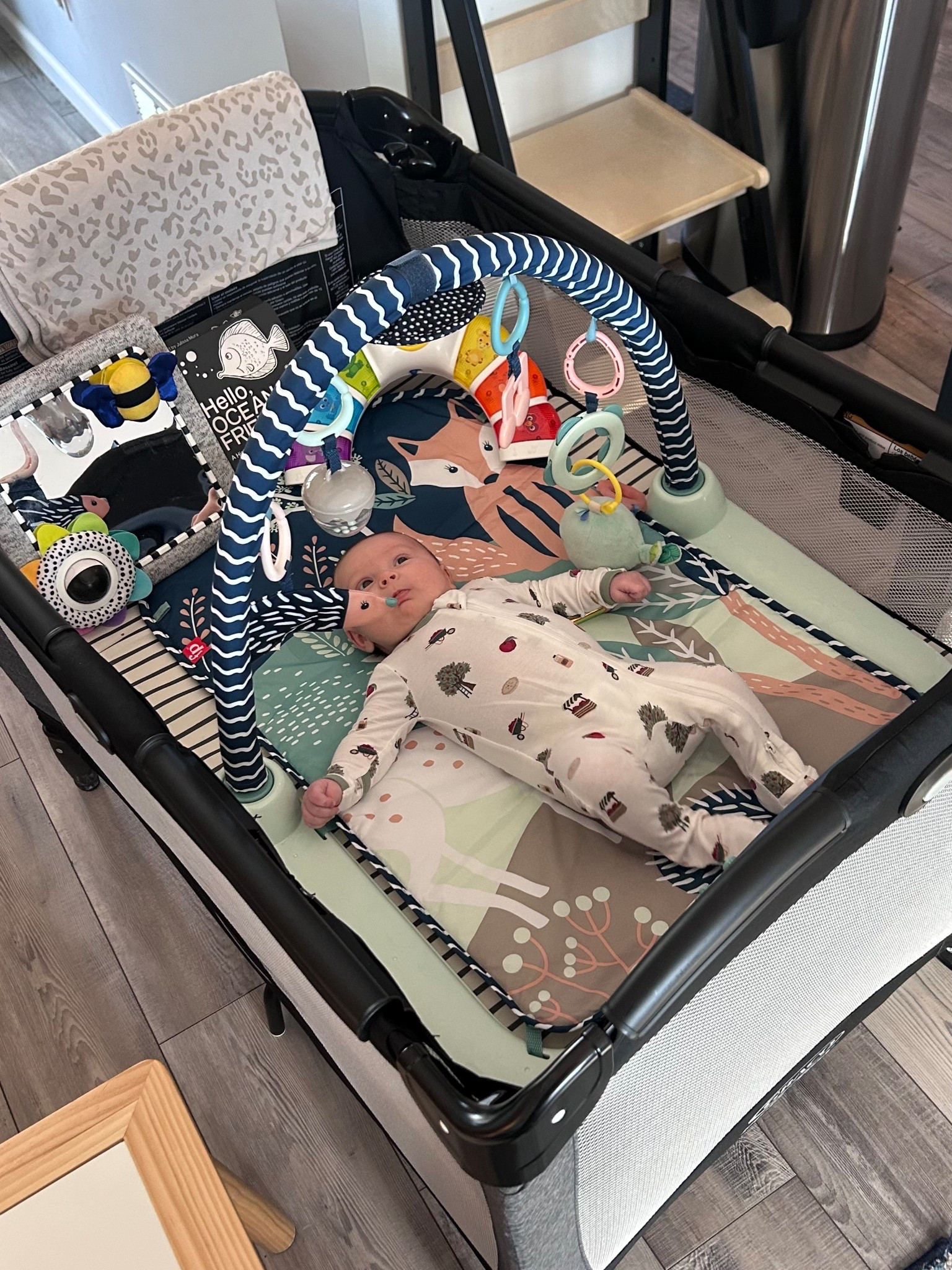 Floor time favorites 🩵

#LTKGiftGuide #LTKBaby #LTKFindsUnder50