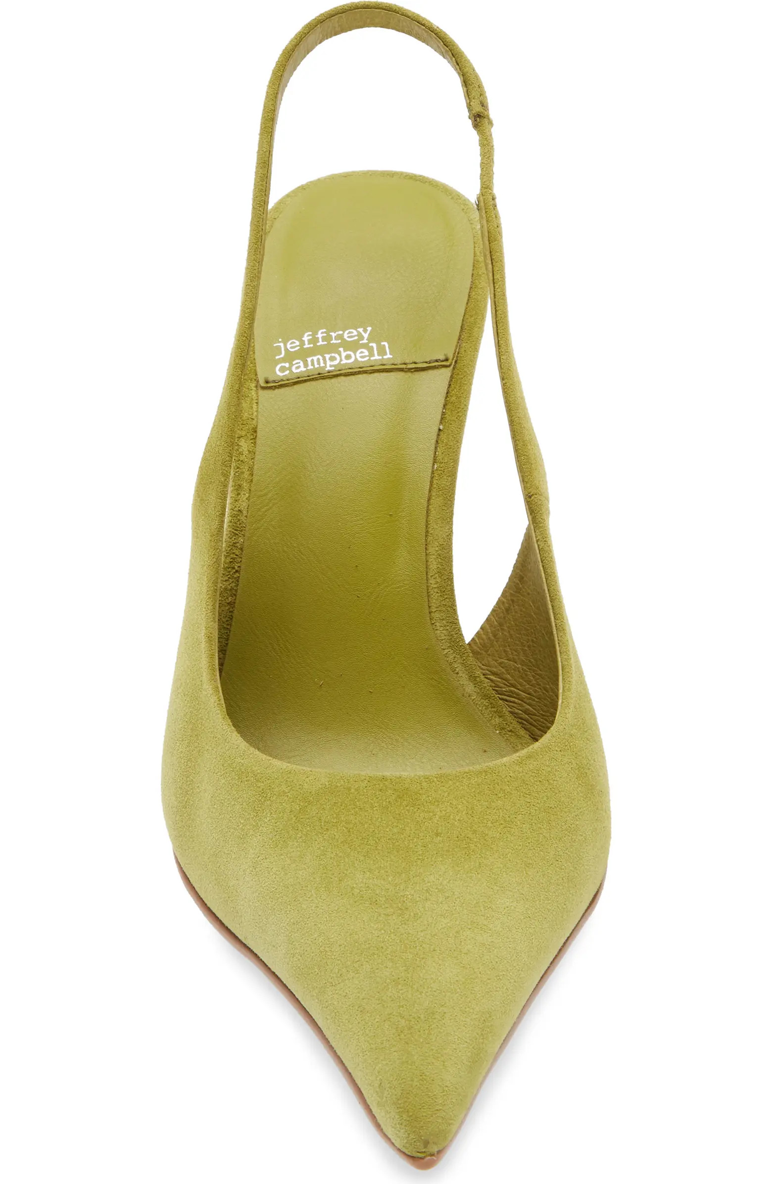 You Wish Slingback Pointed Toe Pump (Women) | Nordstrom