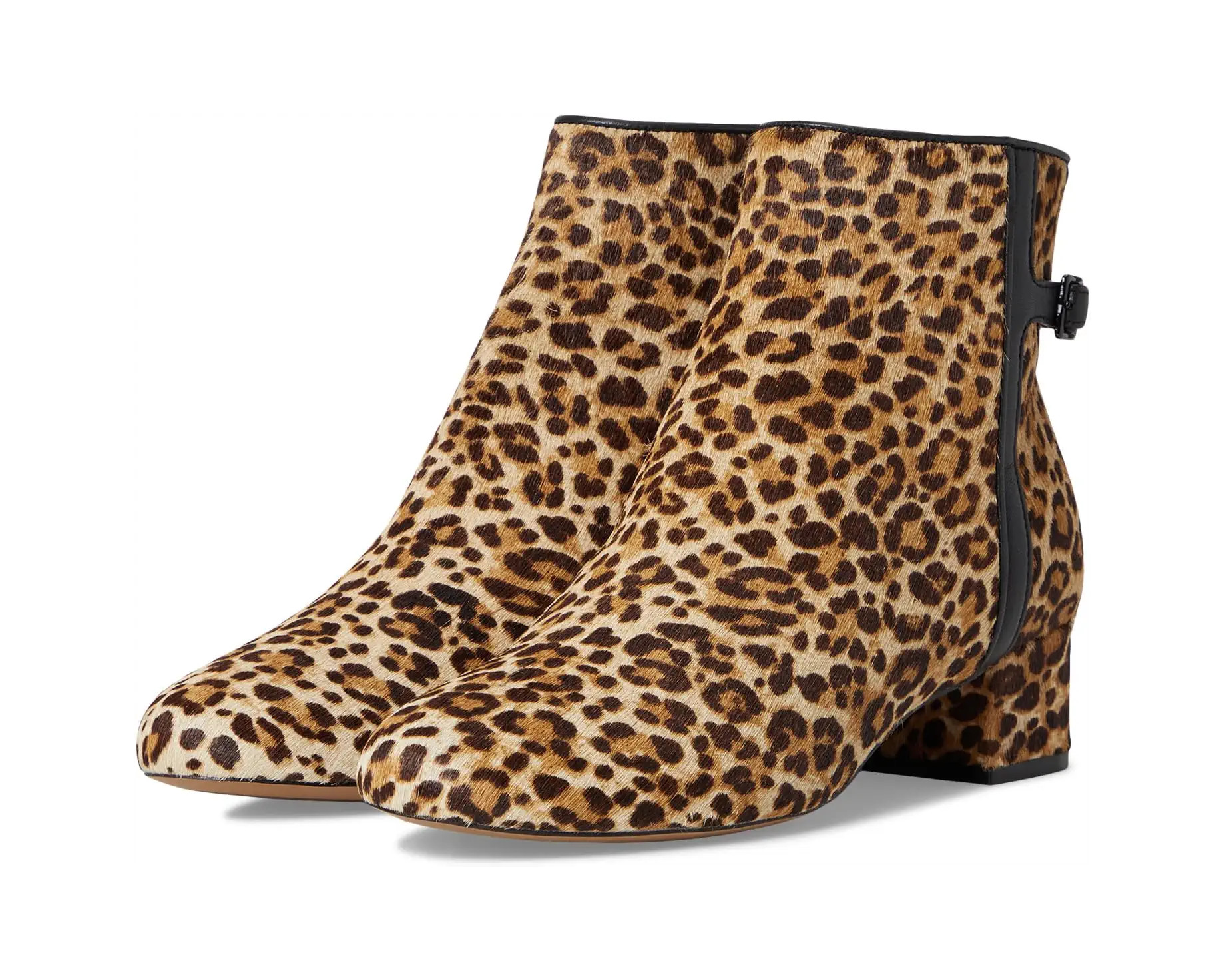 Women's Johnston & Murphy Sienna Belted Bootie | Zappos.com