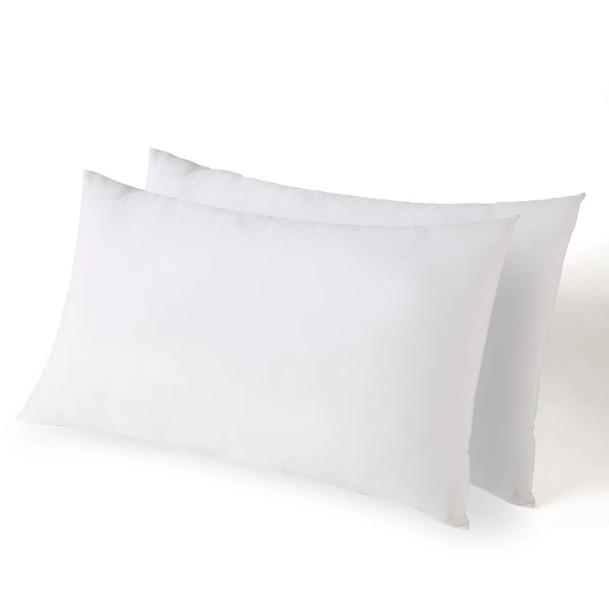Sarthe Plush Pillow (Set of 2) | Wayfair North America