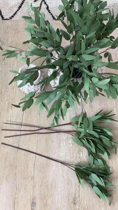Amazon home find! I found my favorite eucalyptus stems three for the price of one! I have twelve in the large Minka vase. 

Target pillow
Target home
Amazon home
Faux stems
Coffee table
Anthro 


#LTKstyletip #LTKunder50 #LTKhome