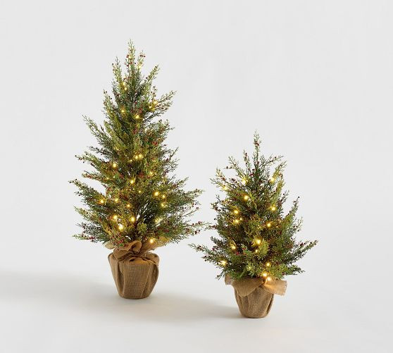 Faux Lit Cedar Berry Pine Tree | Pottery Barn (US)