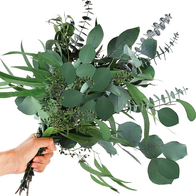 Glicrili 12 Pcs Mixed Real Dried Eucalyptus Leaves Stems - Preserved Eucalyptus Branches, Silver ... | Amazon (US)