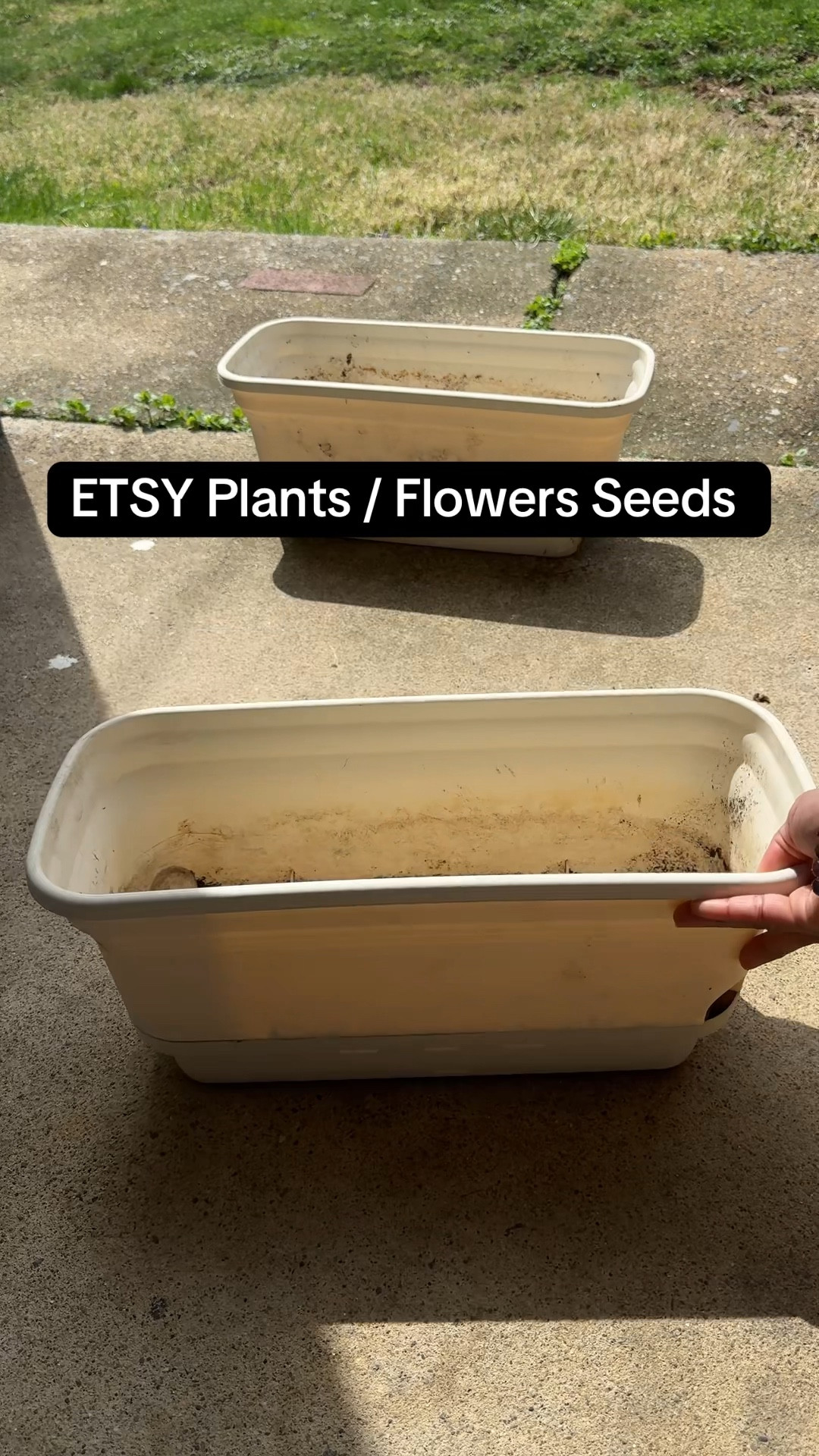 Bought some flower seeds and plants from Etsy , will keep you updated 
follow me on Tiktok - pam.dsouza
IG - justchillwithpam 
Youtube- Pam Dsouza

#plants #etsy #garden

#LTKWatchNow #LTKFamily #LTKHome