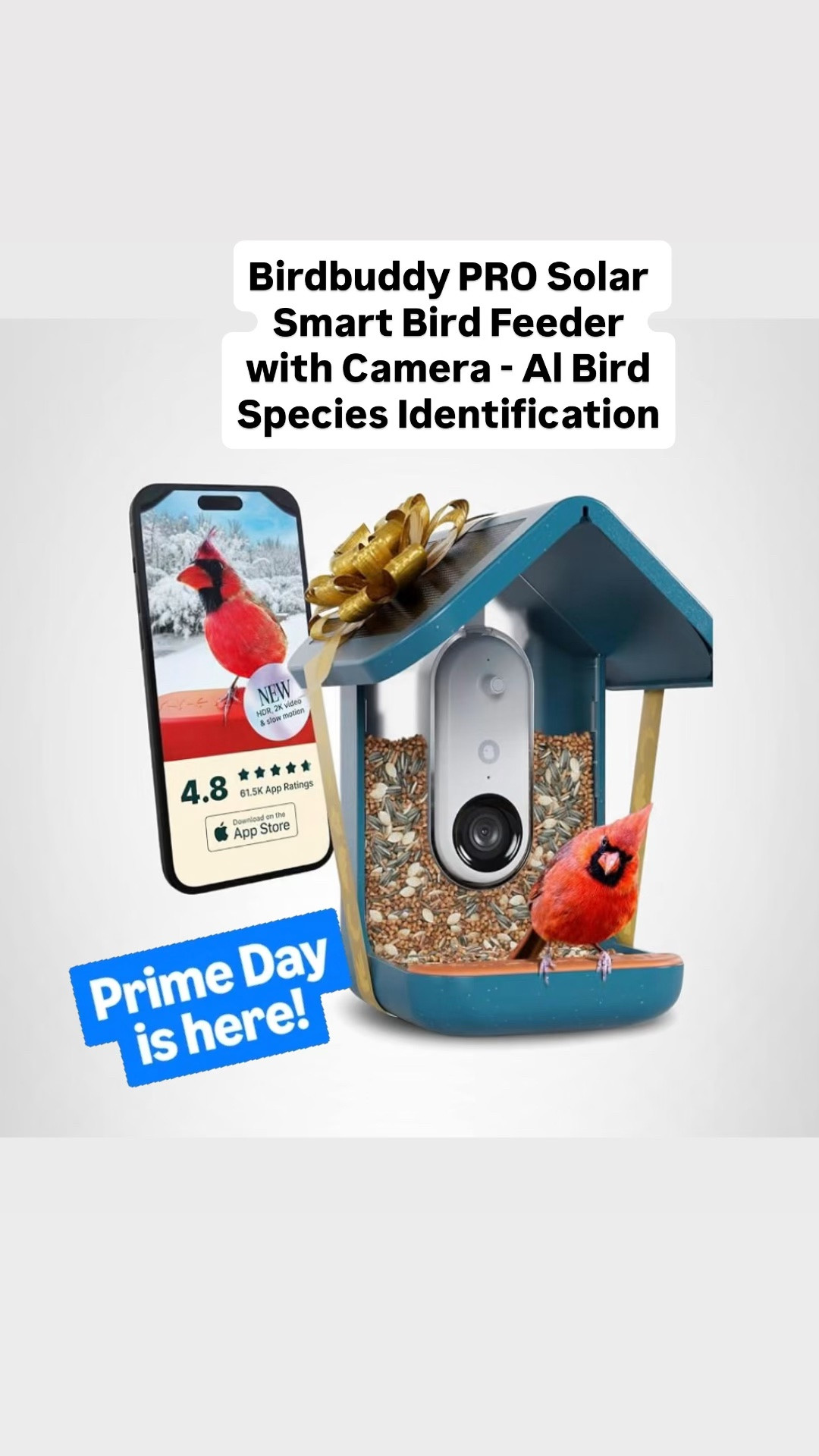 For the birder in your life! How cool to see these little guys on video at your feeder and have the type of bird identified. I think I would start naming my backyard little friends. Gift for her gift for him.

#LTKHome #LTKSaleAlert #LTKOver40