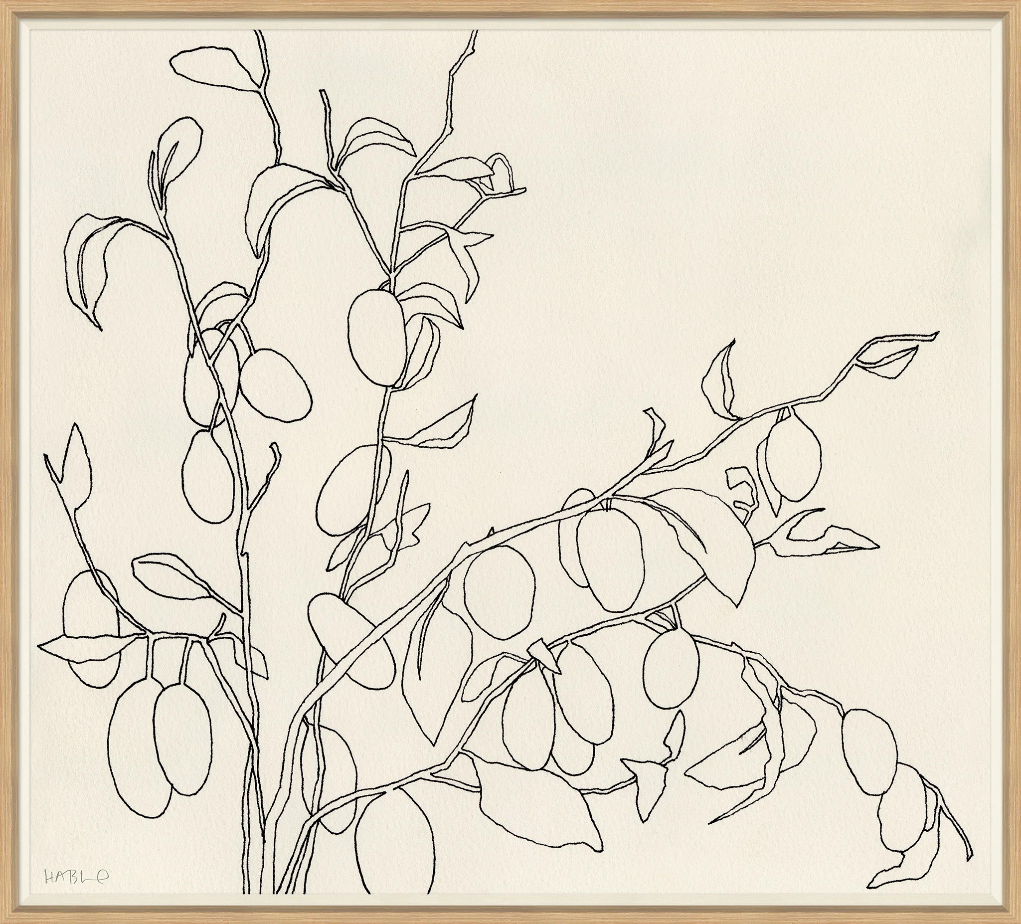 Soicher Marin 'Olives' by Susan Hable - Picture Frame Drawing Print on Paper | Wayfair | Wayfair North America