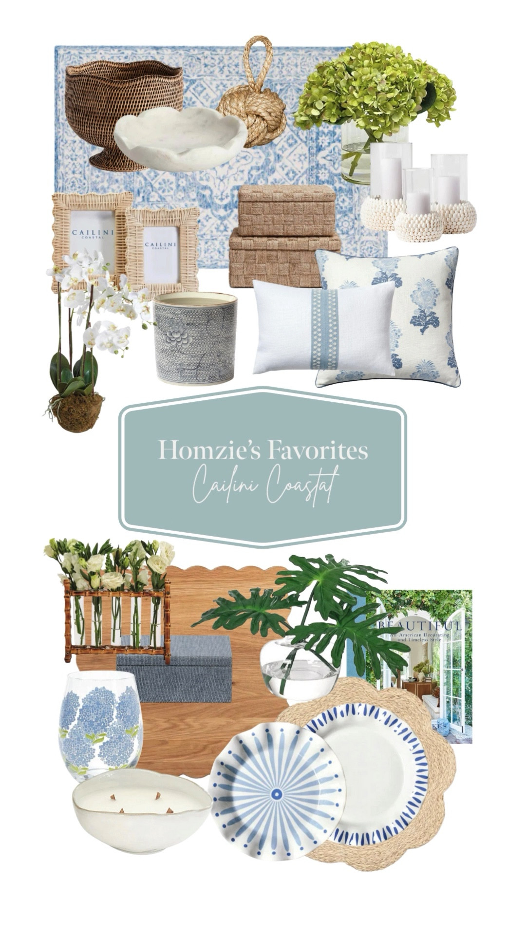 Our favorite finds from Cailini Coastal featuring dinnerware, decorative boces, faux plants, rug, accent pillows, decor, etc.#LTKFinds #LTKFavorites #HomeStyleDaily 

 

#LTKHome #LTKHome #LTKStyleTip #LTKFamily