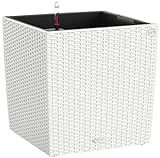 Lechuza 15390 Cube Cottage 50 Self-Watering Garden Planter for Indoor and Outdoor Use, White Wicker, | Amazon (US)