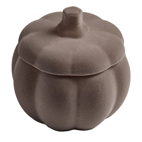 Better Homes & Gardens 2-Wick 12.7 oz Flocked Pumpkin Jar Candle, Brown Butter Pumpkin | Walmart (US)
