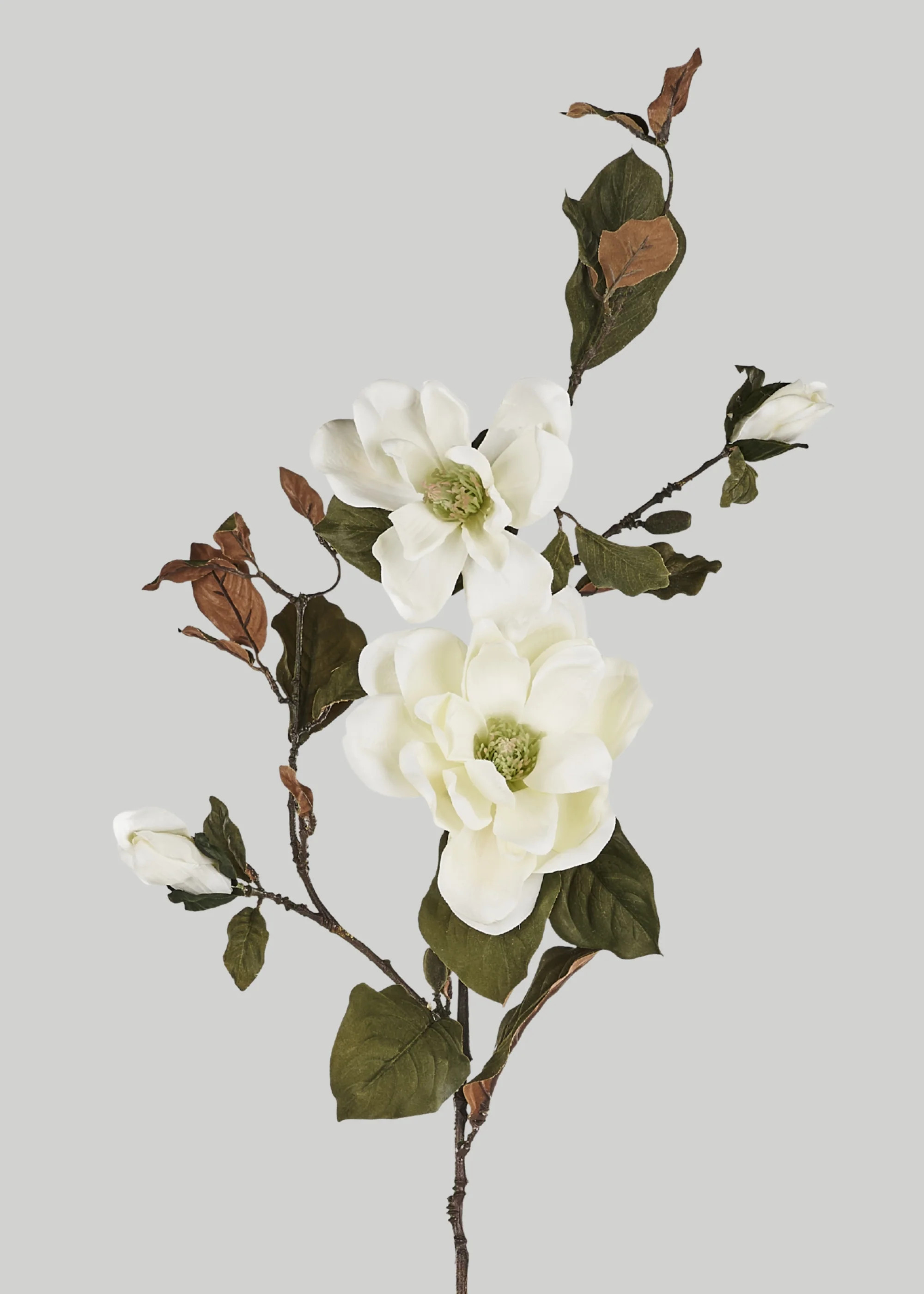 Cream Magnolia Branch | Artificial Blooming Flowers | Afloral | Afloral