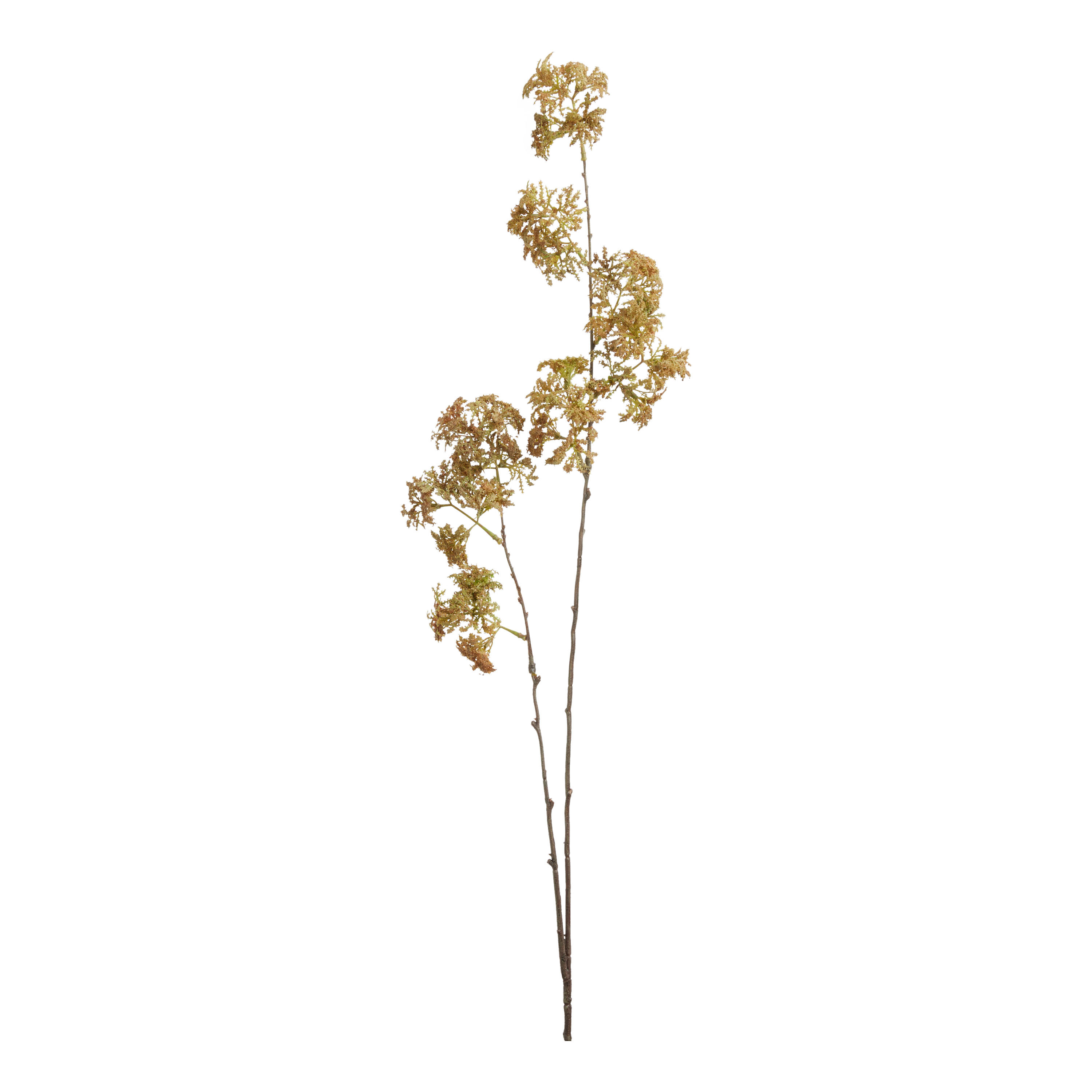 Faux Weeping Moss Stem | World Market