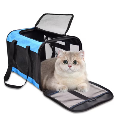 GOOPAWS Soft-Sided Airline Approved Bag Cat Carrier, 17-in, Turquoise | Target