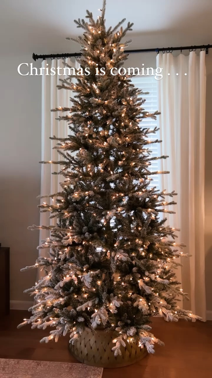 Christmas trees . . . 

The big debate seems to be between putting the tree up before or after Thanksgiving.  

I was curious and took a poll at the bus stop before the break and half of the moms already had their trees up.  

When do you decorate for the holidays?

These are two of our trees that we’ve had for years and have been very happy with.  I’ve linked them, along with the tree collars and tree storage bags we use to store them - (bags are currently on Cyber Monday deal)!  


Christmas trees, Christmas decor, home decor , target style , Wayfair , #ltkcyberweek

#LTKsalealert #LTKhome #LTKHoliday