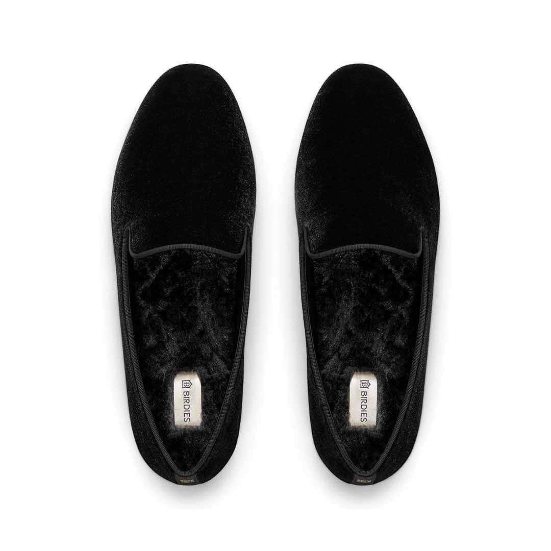 the starling | BIRDIES