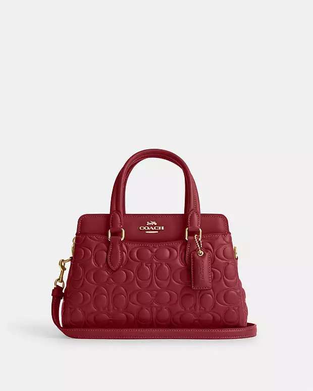 Mini Darcie Carryall With Signature | Coach Outlet US