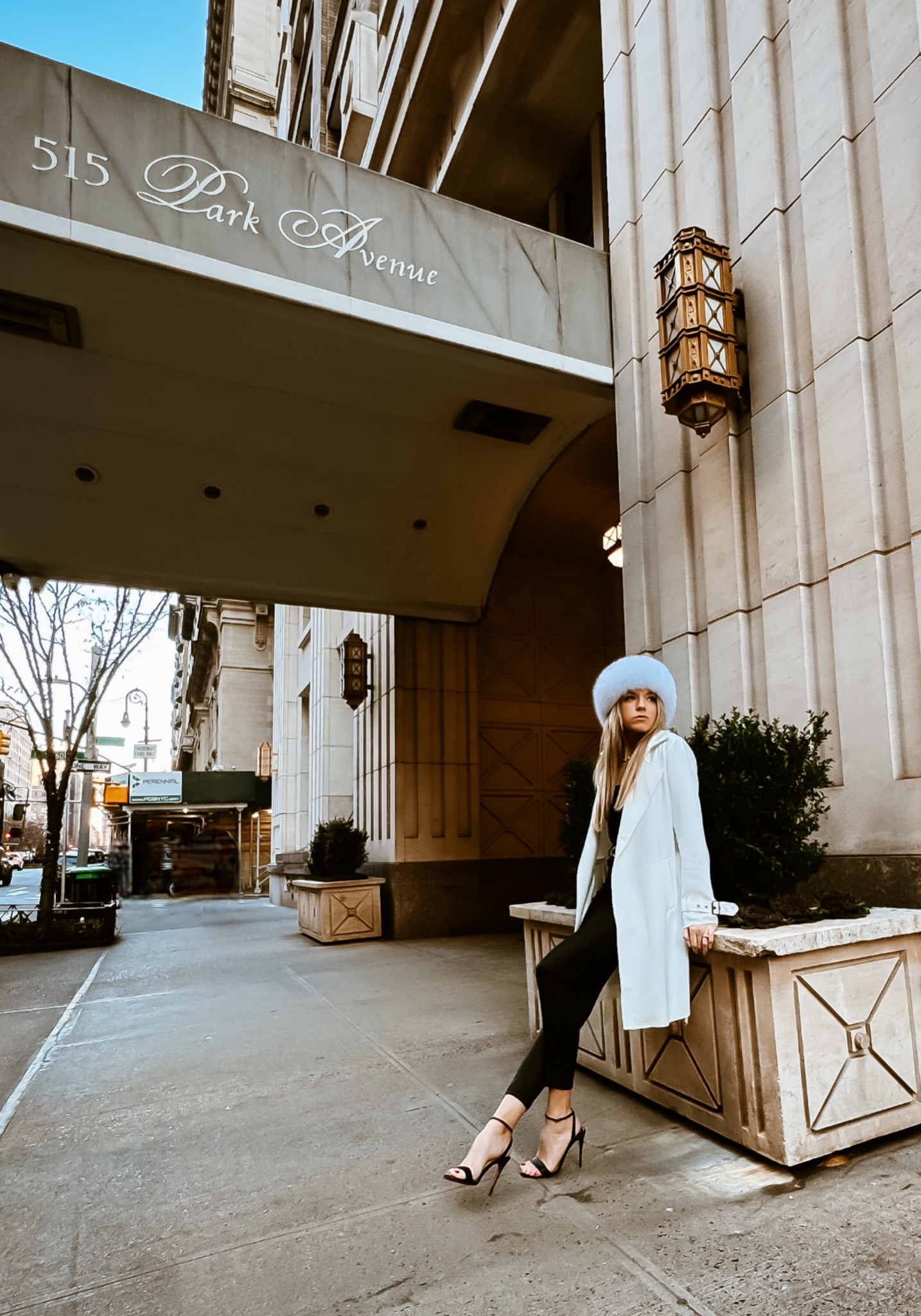 NY chic in the New white Park Ave coat

Currently 20% off with code "winter20”#LTKworkwear #LTKsalealert

#LTKSeasonal