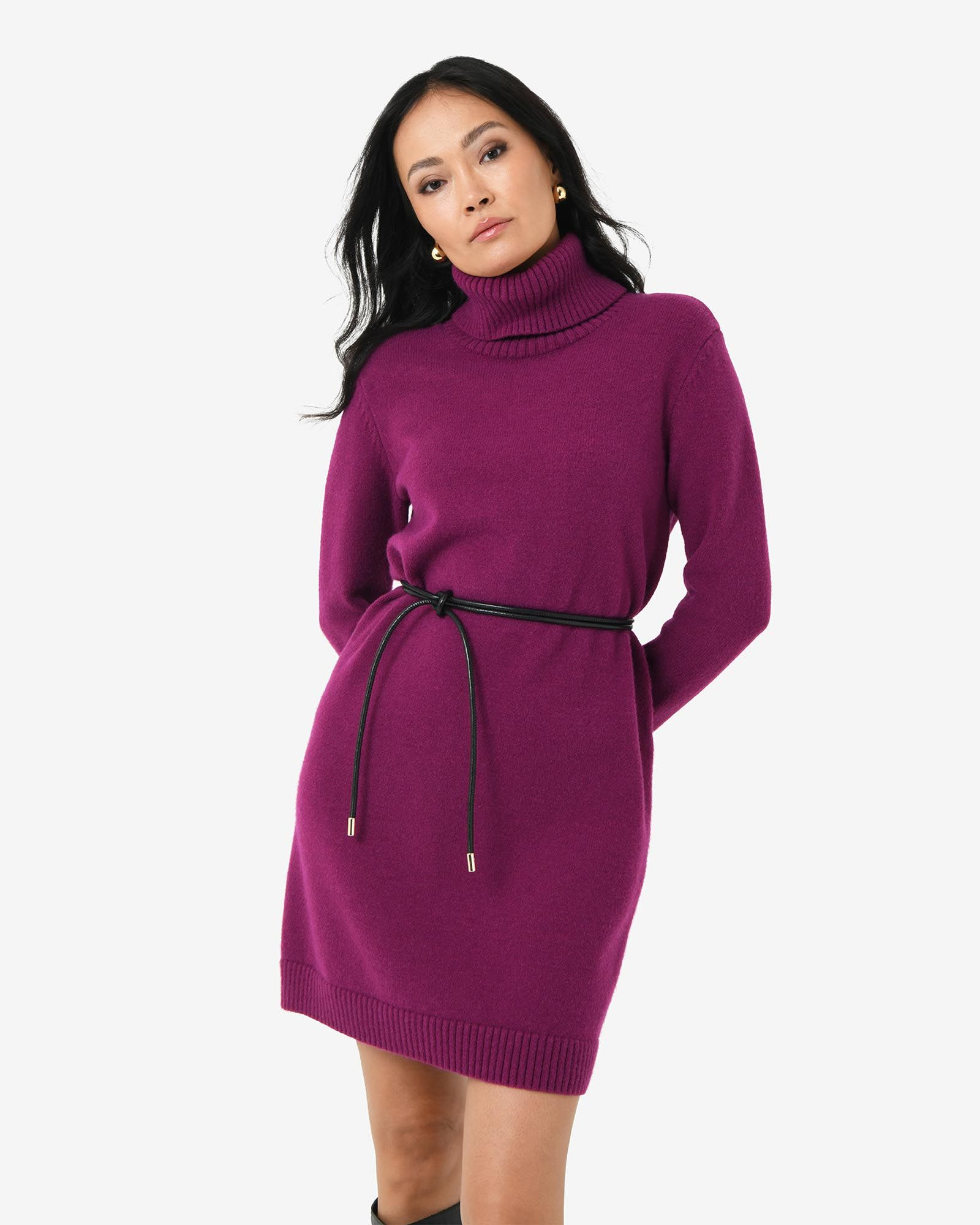 Sasha Wool Blend Knit Dress | FORCAST