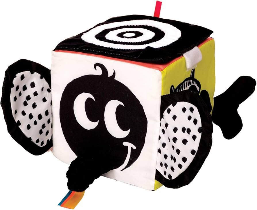 Manhattan Toy Wimmer-Ferguson Learning Cube Multisensory Soft Baby Activity Toy | Amazon (US)