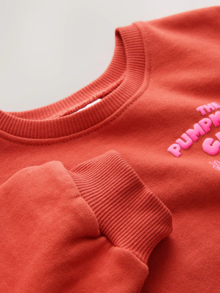 Orange Pumpkin Pie Club Crew Neck Sweatshirt (3mths-7yrs) | Next EU