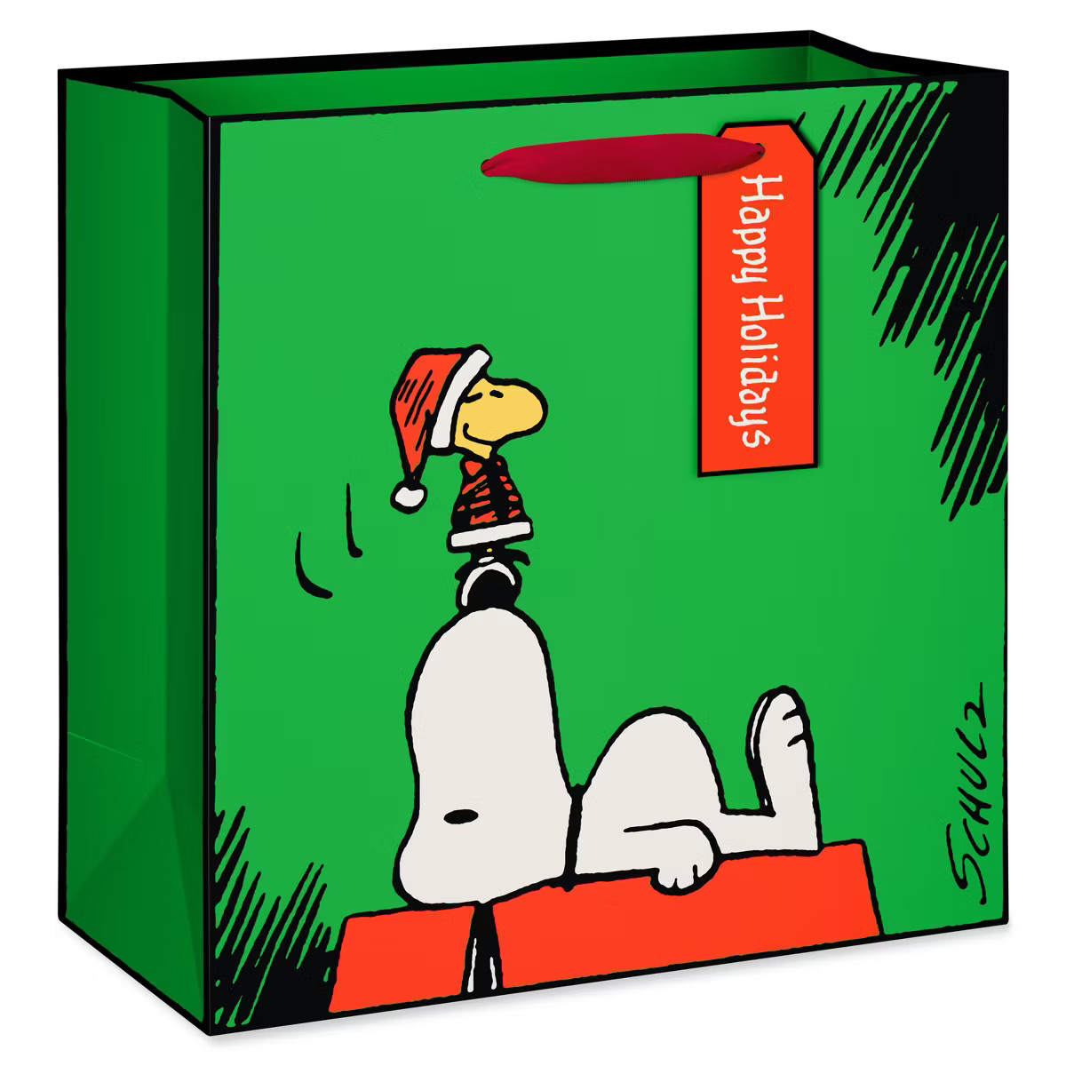 American Greetings 10"x5"x10" Peanuts Large Square Snoopy and Woodstock On Green | Target