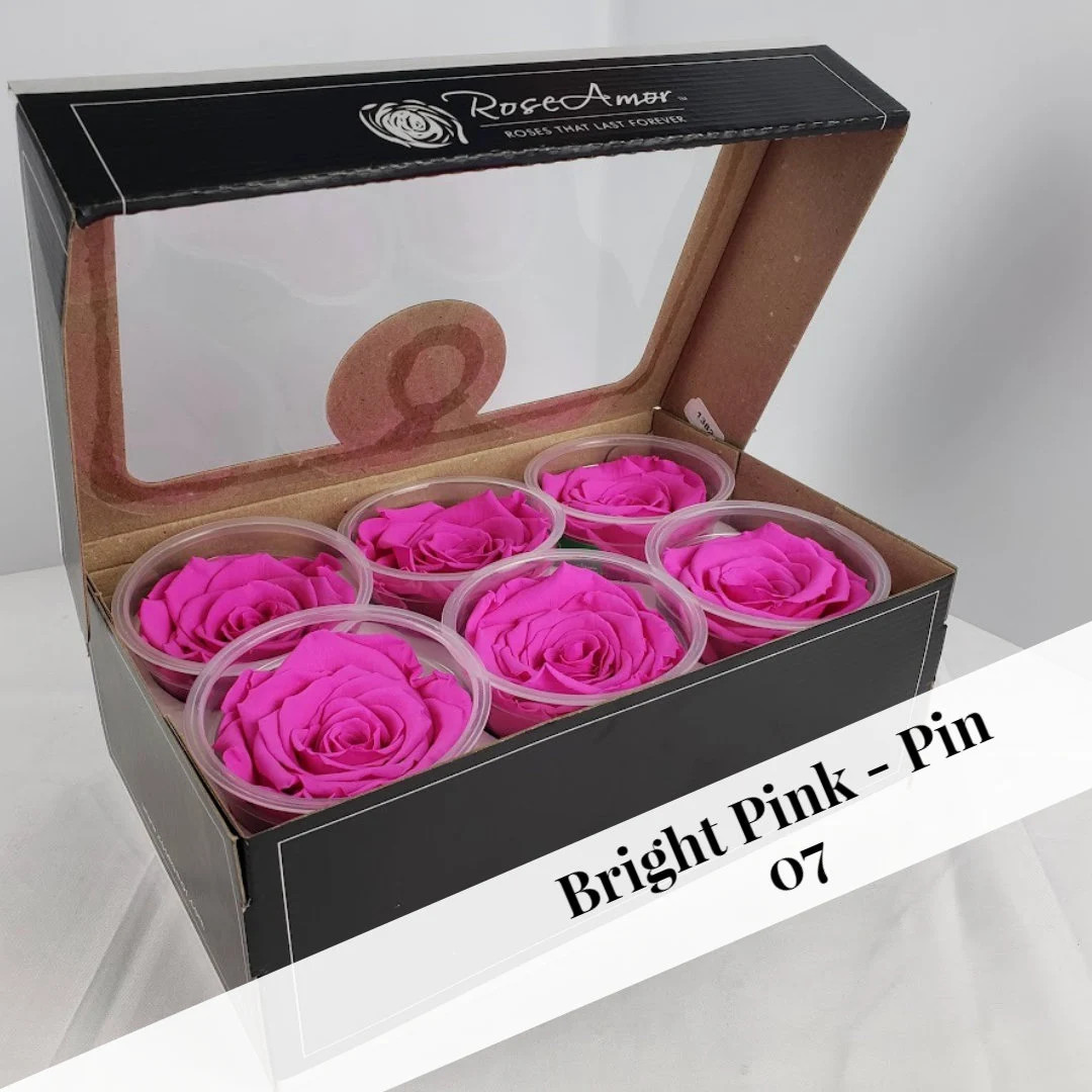 Bright Pink Preserved Rose Six Packs - Etsy | Etsy (US)