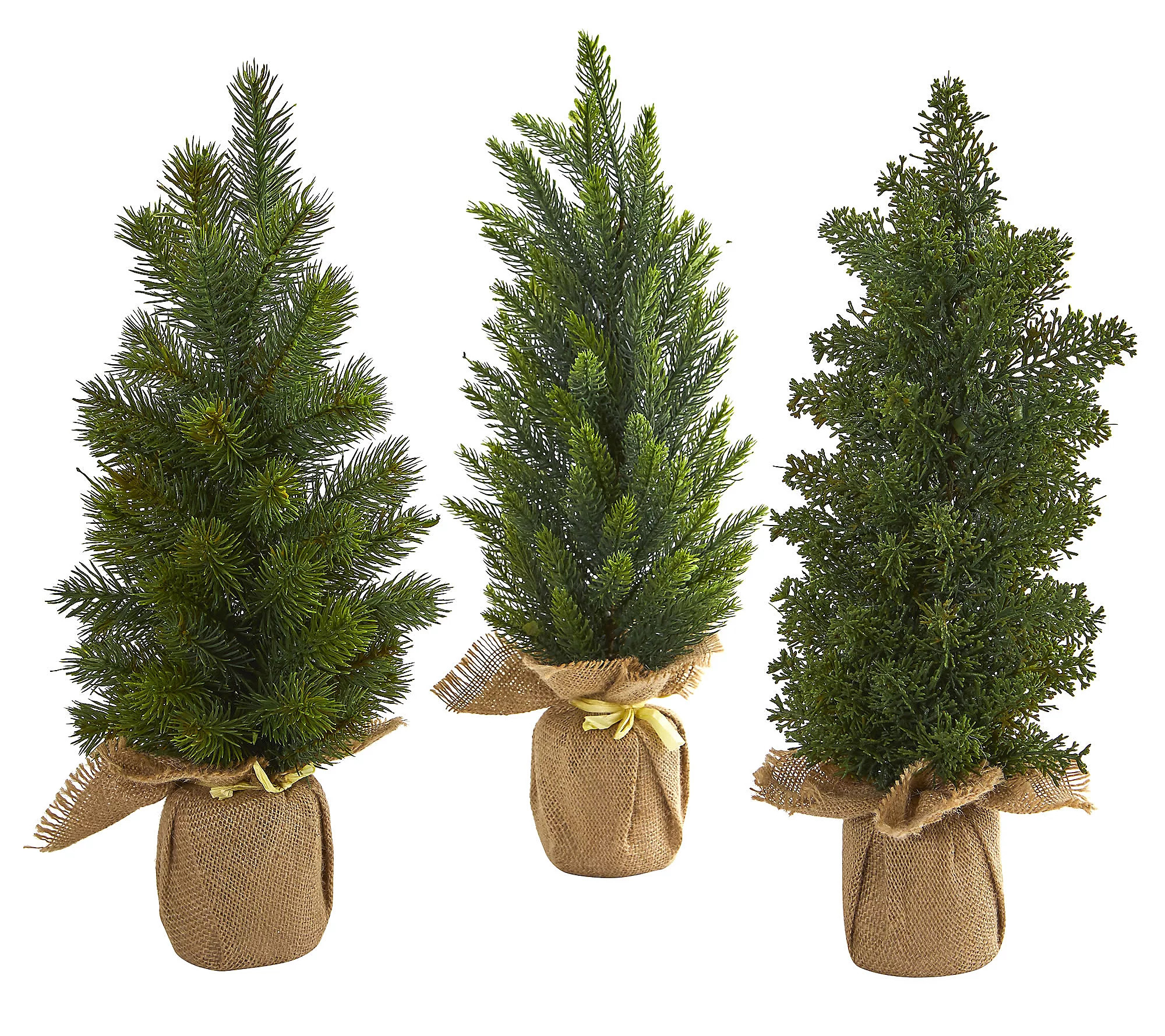 15 Mini Cypress and Pine Artificial Tree (Setof 3) | QVC
