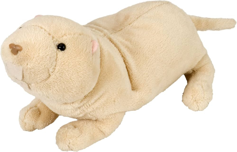 Wild Republic Naked Mole Rat Plush, Stuffed Animal, Plush Toy, Gifts for Kids, Cuddlekins 8 Inche... | Amazon (US)