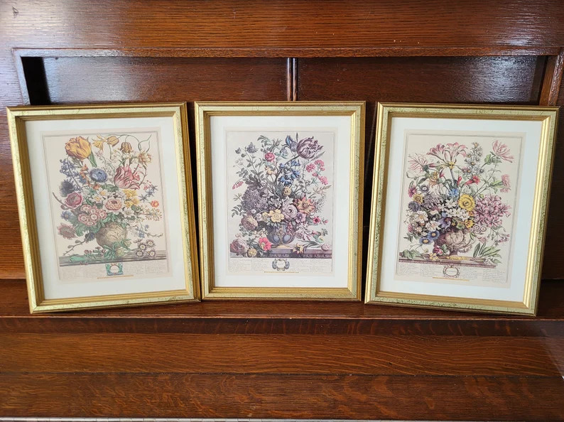 Vintage Robert Furber Twelve Months of Flowers Print March, May and October, Monthly Flower Print... | Etsy (US)