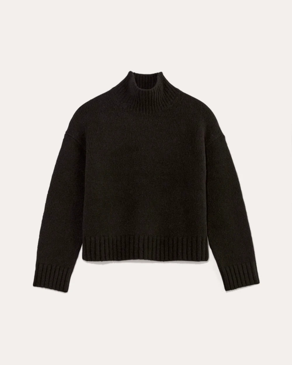 The Cloud Oversized Turtleneck | Black | Everlane