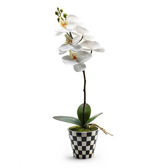 MacKenzie-Childs | Courtly Check Orchid Drop In | MacKenzie-Childs